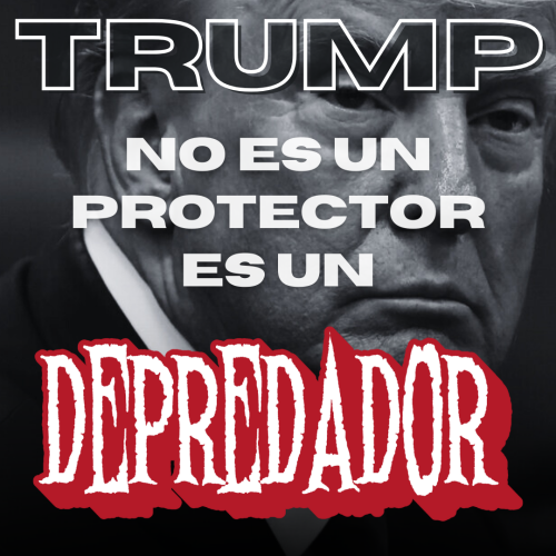 No_Es_Un_Protector.png